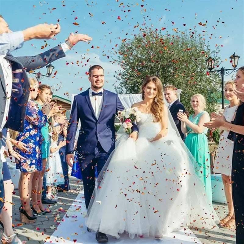 10G/Pack Natural Rose Confetti Wedding Dried Flower Petals Pop Biodegradable for Wedding Party Decoration DIY Handmade Gift